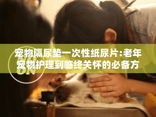 宠物隔尿垫一次性纸尿片:老年宠物护理到临终关怀的必备方案