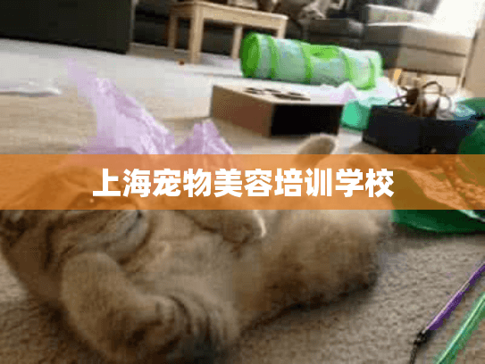 上海宠物美容培训学校