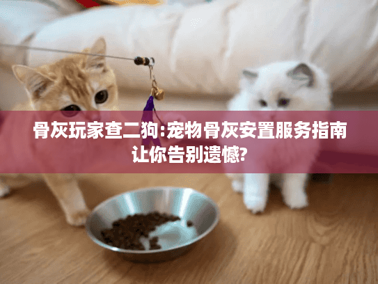 骨灰玩家查二狗:宠物骨灰安置服务指南让你告别遗憾?