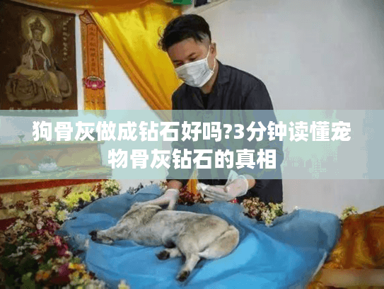 狗骨灰做成钻石好吗?3分钟读懂宠物骨灰钻石的真相
