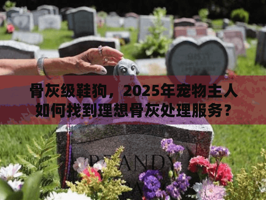 骨灰级鞋狗，2025年宠物主人如何找到理想骨灰处理服务？