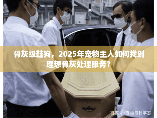 骨灰级鞋狗，2025年宠物主人如何找到理想骨灰处理服务？