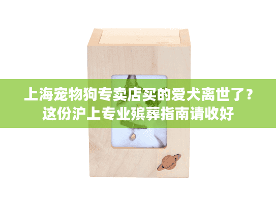 上海宠物狗专卖店买的爱犬离世了？这份沪上专业殡葬指南请收好