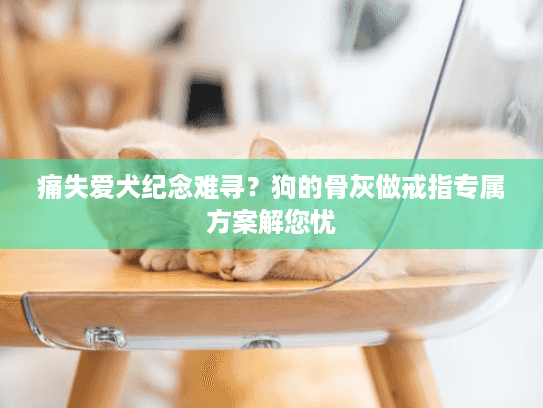 痛失爱犬纪念难寻？狗的骨灰做戒指专属方案解您忧