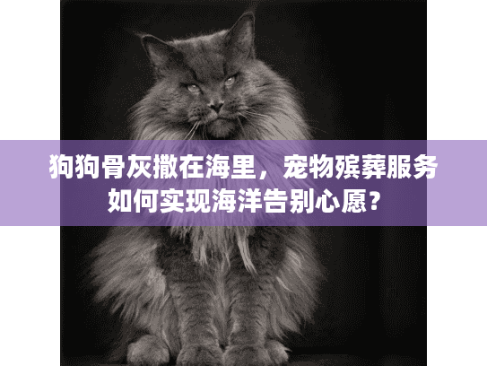 狗狗骨灰撒在海里，宠物殡葬服务如何实现海洋告别心愿？