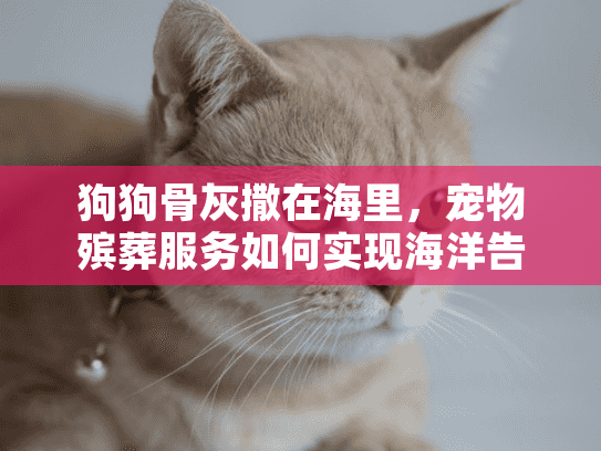 狗狗骨灰撒在海里，宠物殡葬服务如何实现海洋告别心愿？