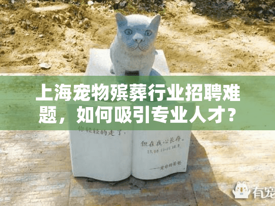 上海宠物殡葬行业招聘难题，如何吸引专业人才？