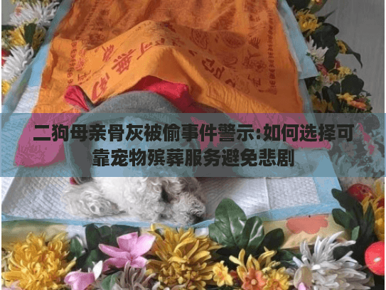 二狗母亲骨灰被偷事件警示:如何选择可靠宠物殡葬服务避免悲剧