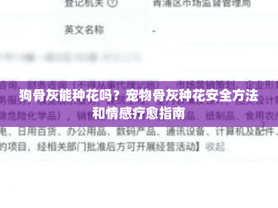 狗骨灰能种花吗？宠物骨灰种花安全方法和情感疗愈指南