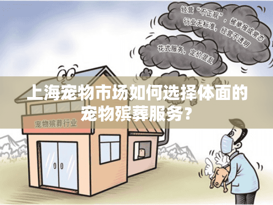 上海宠物市场如何选择体面的宠物殡葬服务？