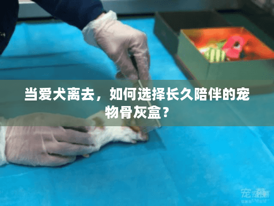 当爱犬离去，如何选择长久陪伴的宠物骨灰盒？