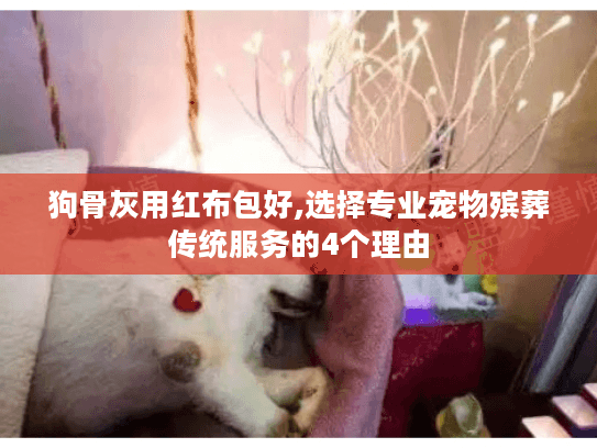 狗骨灰用红布包好,选择专业宠物殡葬传统服务的4个理由