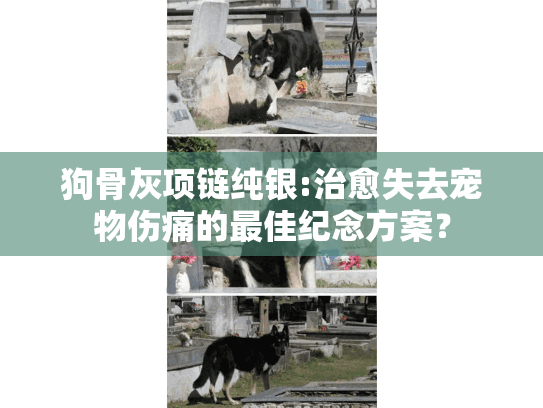 狗骨灰项链纯银:治愈失去宠物伤痛的最佳纪念方案? 狗骨灰项链纯银:治愈失去宠物伤痛的最佳纪念方案?