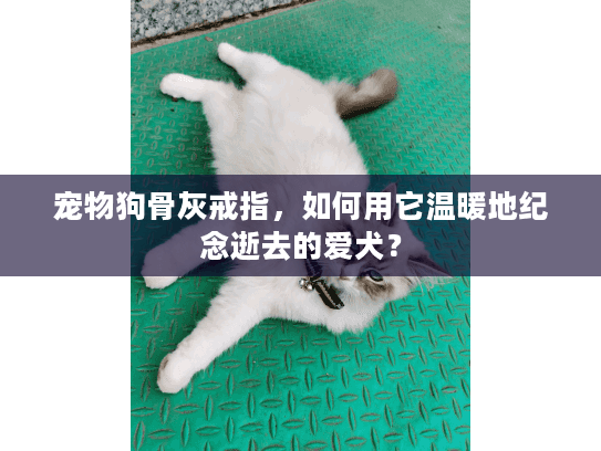 宠物狗骨灰戒指，如何用它温暖地纪念逝去的爱犬？