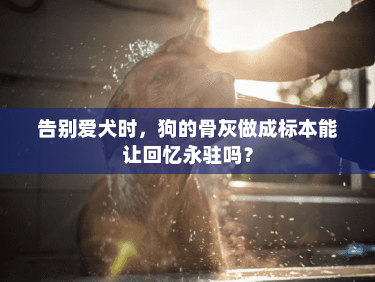 告别爱犬时，狗的骨灰做成标本能让回忆永驻吗？