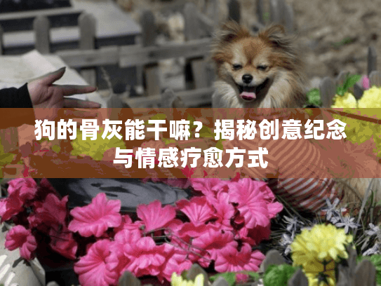 狗的骨灰能干嘛?揭秘创意纪念与情感疗愈方式 狗的骨灰能干嘛?揭秘创意纪念与情感疗愈方式