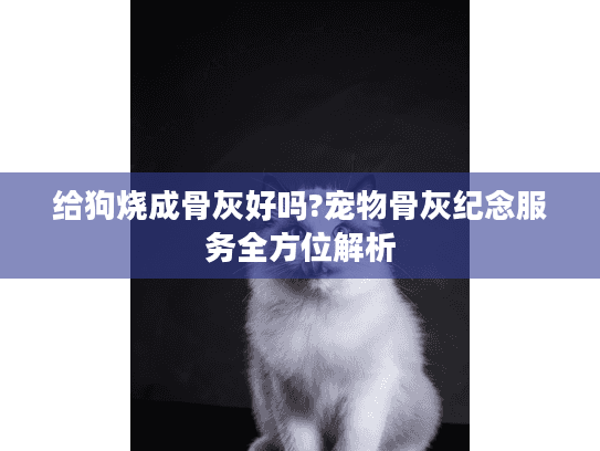 给狗烧成骨灰好吗?宠物骨灰纪念服务全方位解析 给狗烧成骨灰好吗?宠物骨灰纪念服务全方位解析