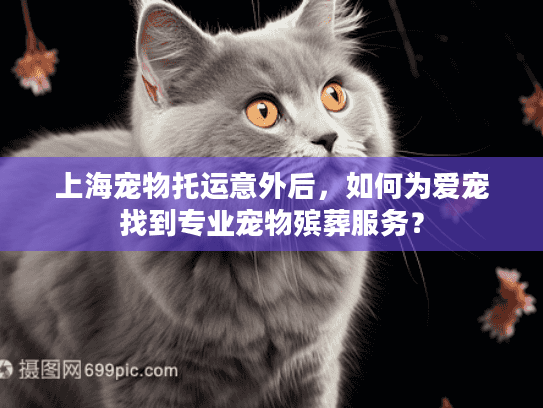 上海宠物托运意外后，如何为爱宠找到专业宠物殡葬服务？