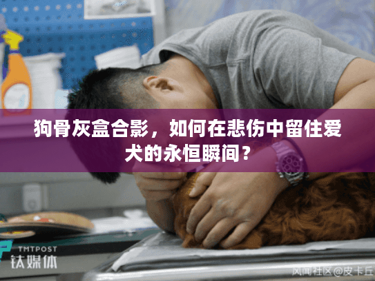 狗骨灰盒合影，如何在悲伤中留住爱犬的永恒瞬间？