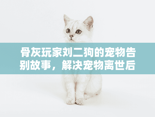 骨灰玩家刘二狗的宠物告别故事，解决宠物离世后情感困惑的专业指南