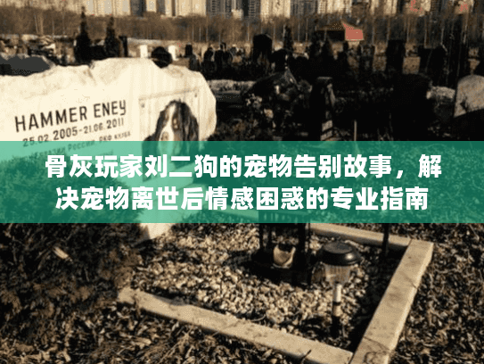骨灰玩家刘二狗的宠物告别故事，解决宠物离世后情感困惑的专业指南
