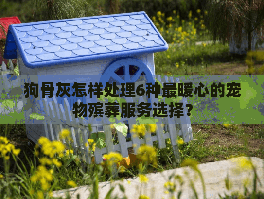 狗骨灰怎样处理6种最暖心的宠物殡葬服务选择？