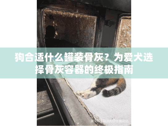 狗合适什么罐装骨灰？为爱犬选择骨灰容器的终极指南