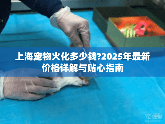 上海宠物火化多少钱?2025年最新价格详解与贴心指南