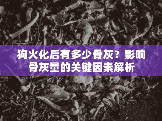 狗火化后有多少骨灰？影响骨灰量的关键因素解析