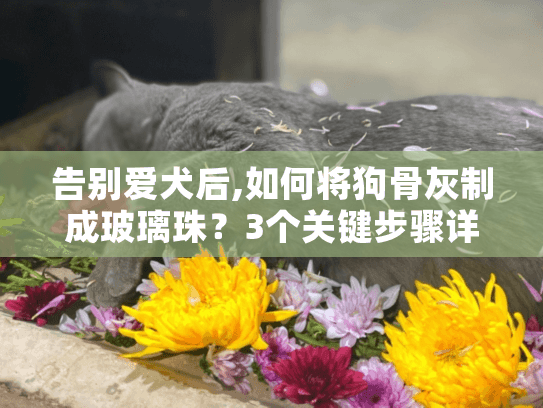 告别爱犬后,如何将狗骨灰制成玻璃珠？3个关键步骤详解