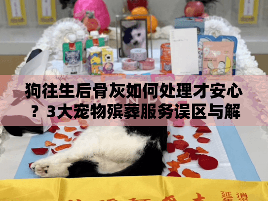 狗往生后骨灰如何处理才安心？3大宠物殡葬服务误区与解决方案