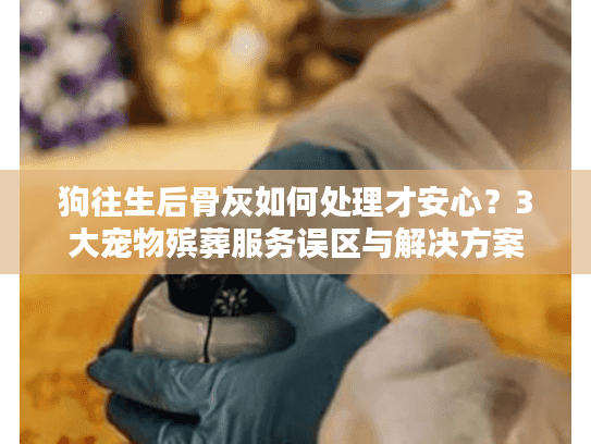 狗往生后骨灰如何处理才安心？3大宠物殡葬服务误区与解决方案