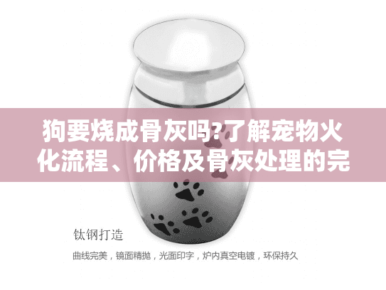 狗要烧成骨灰吗?了解宠物火化流程、价格及骨灰处理的完整指南