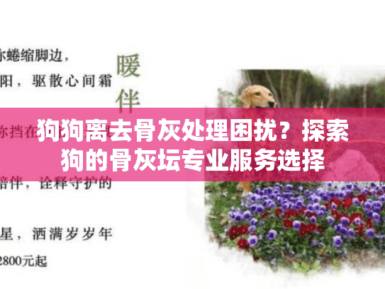 狗狗离去骨灰处理困扰？探索狗的骨灰坛专业服务选择