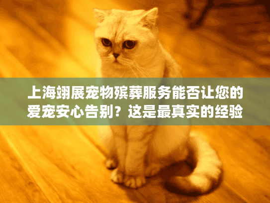 上海翊展宠物殡葬服务能否让您的爱宠安心告别？这是最真实的经验分享