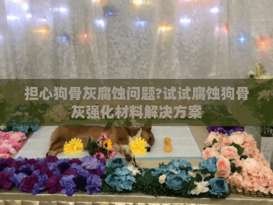担心狗骨灰腐蚀问题?试试腐蚀狗骨灰强化材料解决方案