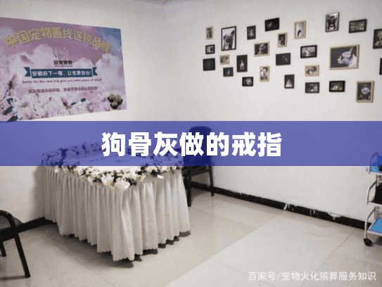 狗骨灰做的戒指