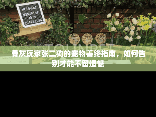 骨灰玩家张二狗的宠物善终指南，如何告别才能不留遗憾