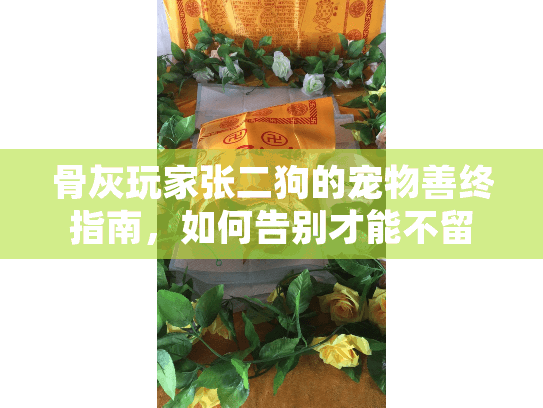 骨灰玩家张二狗的宠物善终指南，如何告别才能不留遗憾