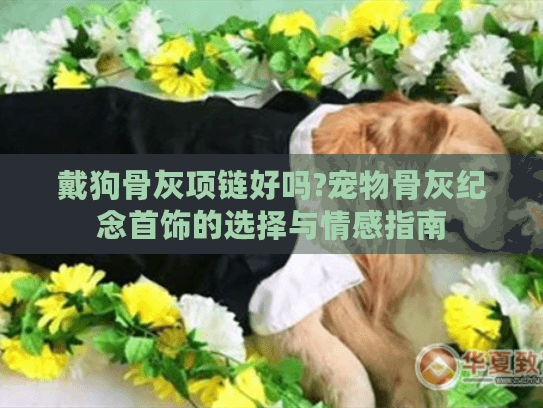 戴狗骨灰项链好吗?宠物骨灰纪念首饰的选择与情感指南