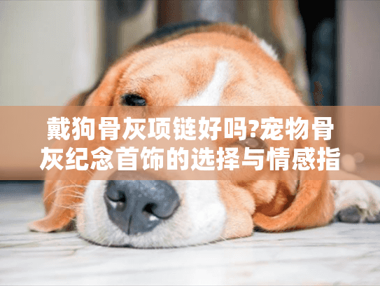 戴狗骨灰项链好吗?宠物骨灰纪念首饰的选择与情感指南
