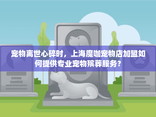 宠物离世心碎时，上海魔咖宠物店加盟如何提供专业宠物殡葬服务？