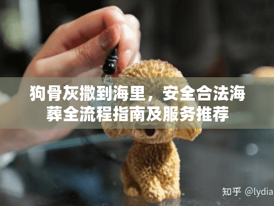 狗骨灰撒到海里，安全合法海葬全流程指南及服务推荐