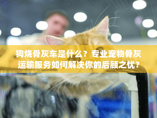 狗烧骨灰车是什么？专业宠物骨灰运输服务如何解决你的后顾之忧？