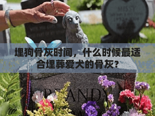 埋狗骨灰时间，什么时候最适合埋葬爱犬的骨灰？