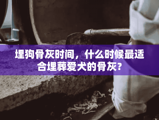 埋狗骨灰时间，什么时候最适合埋葬爱犬的骨灰？