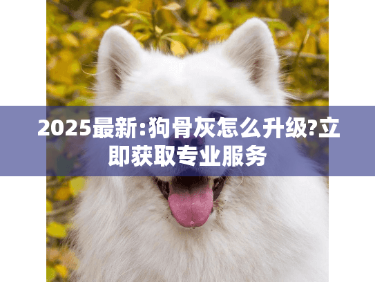 2025最新:狗骨灰怎么升级?立即获取专业服务