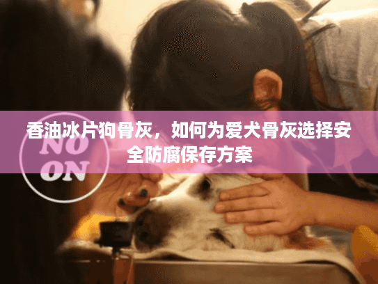 香油冰片狗骨灰，如何为爱犬骨灰选择安全防腐保存方案