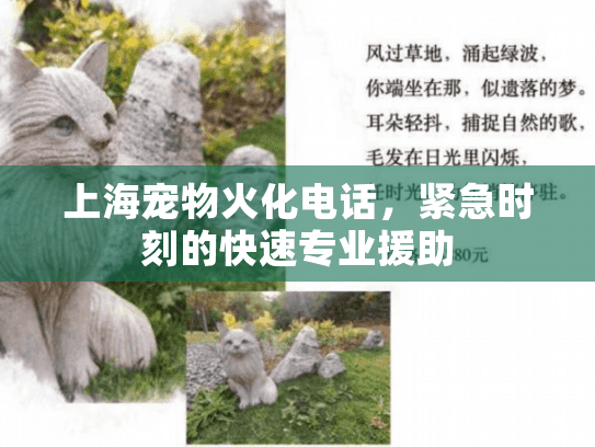 上海宠物火化电话，紧急时刻的快速专业援助