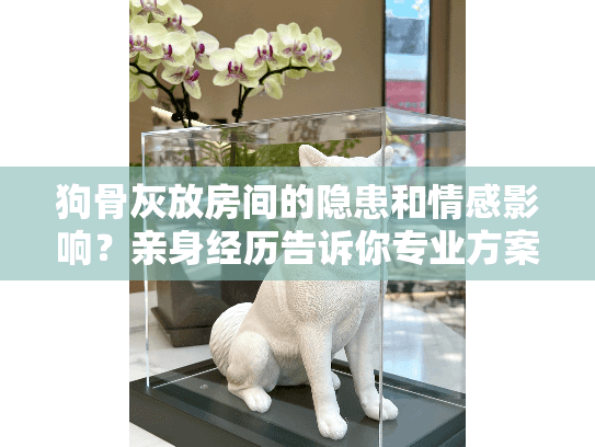 狗骨灰放房间的隐患和情感影响？亲身经历告诉你专业方案